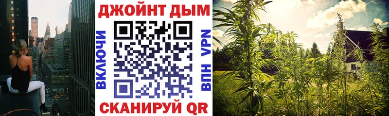 Названия наркотиков Черняховск Гашиш  Кокаин  Галлюциногенные грибы  МЕФ 
