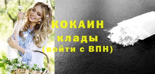 бошки Каменка