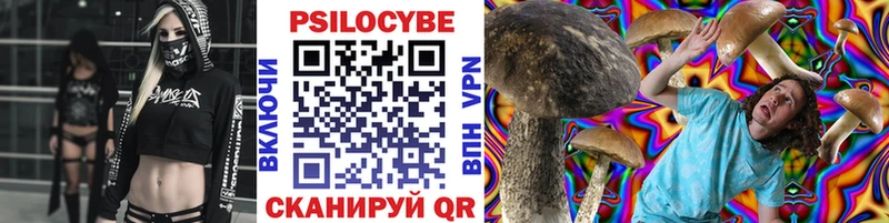 Псилоцибиновые грибы прущие грибы  наркота  Черняховск 