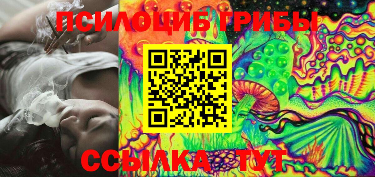 Галлюциногенные грибы Magic Shrooms  где продают наркотики  Черняховск  Вход с VPN 