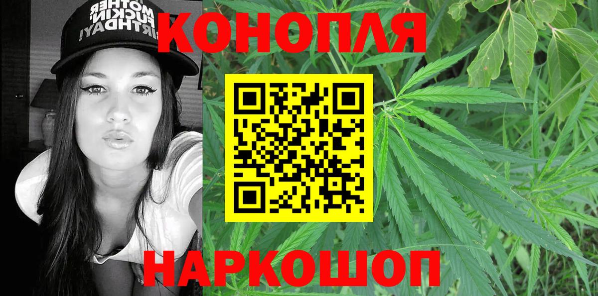 Конопля план Черняховск